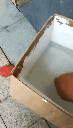 101302692.gif 640 (3).gif