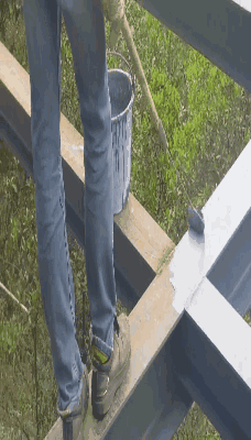 101342701.gif 640 (2).gif